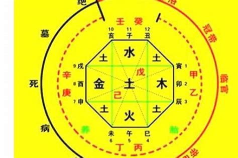 怎麼看喜用神|怎樣確定自己的八字喜用神